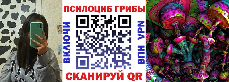 наркошоп  Карасук  Галлюциногенные грибы Psilocybe 
