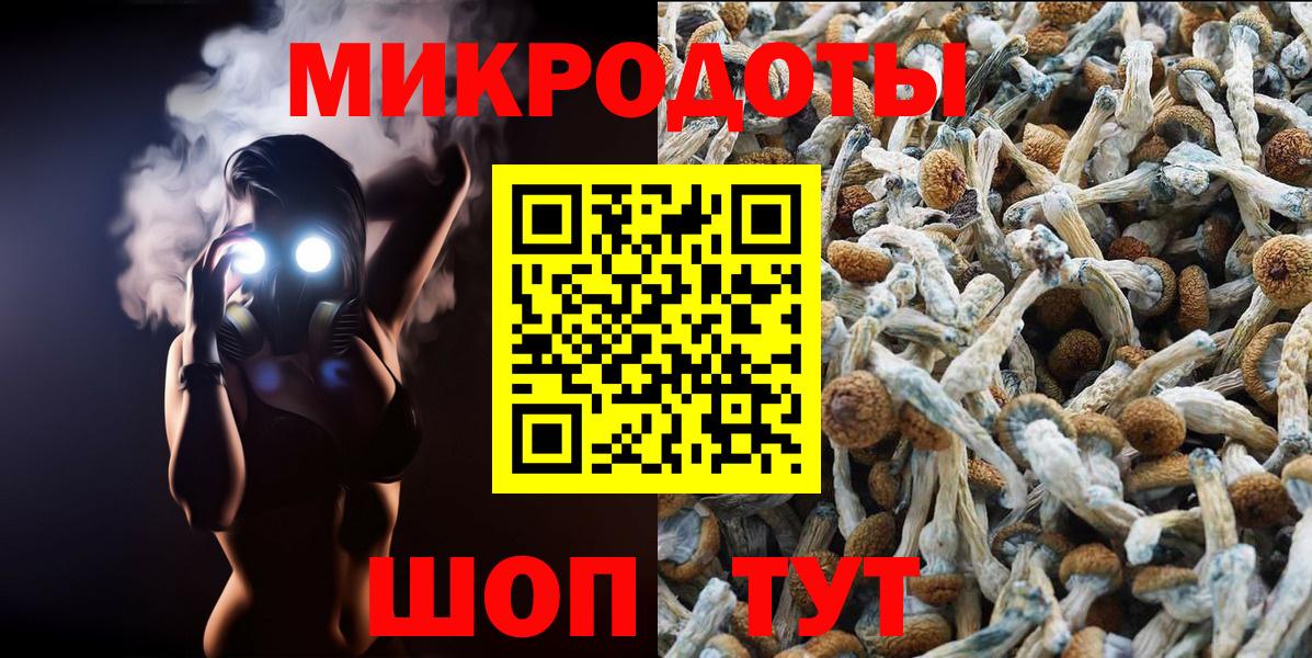 купить  цена  Псилоцибиновые грибы Psilocybine cubensis  Вход с VPN  Карасук 